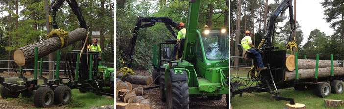 Forestry and woodland management
