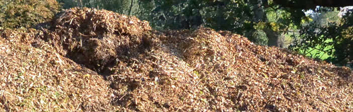 Wood chippings
